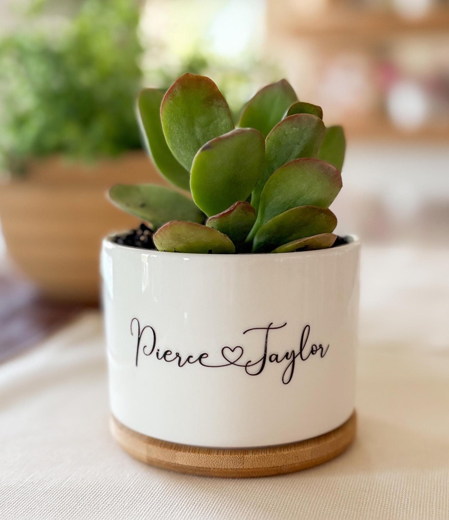 Custom Ceramic Planter – Personalized Succulent Pot with Bamboo Base